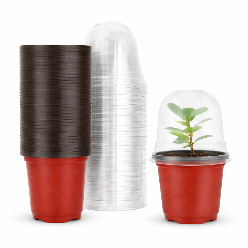 Red plastic pots with brown textured sides and clear plastic lids on a white background