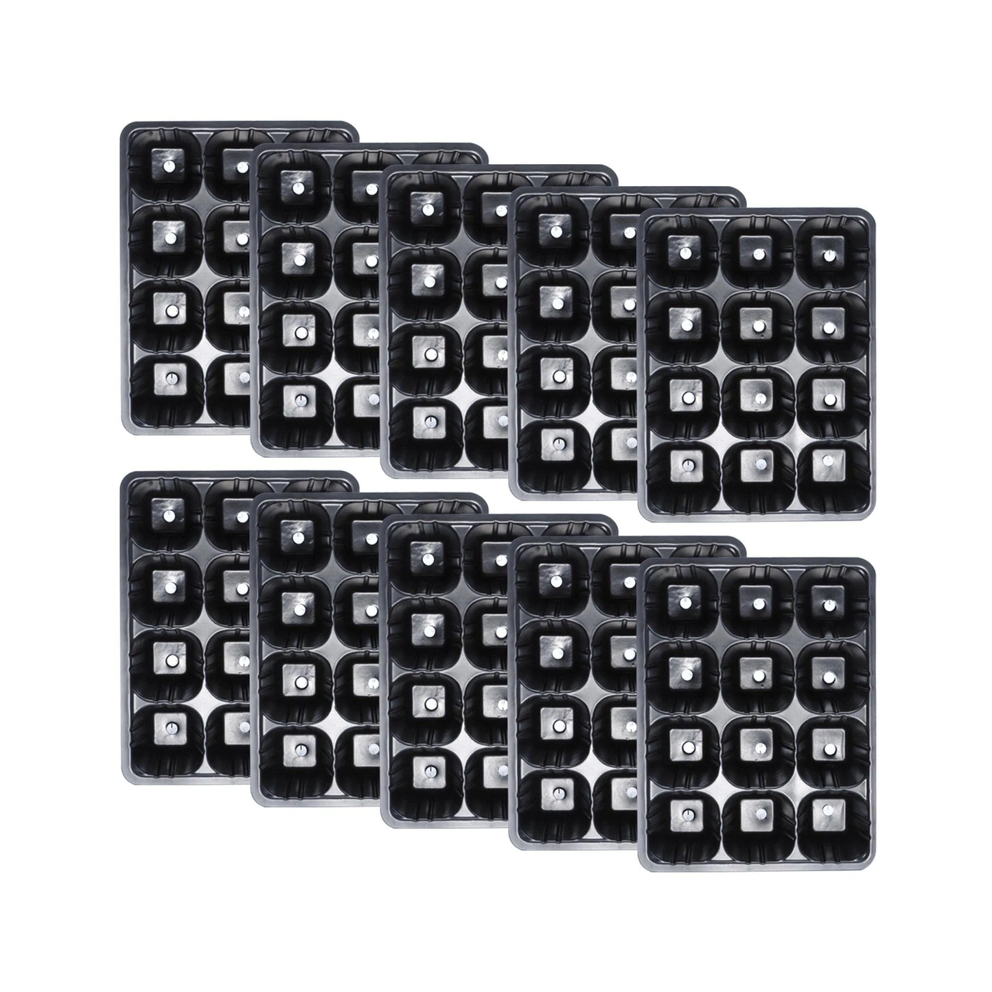 Multiple black plastic seedling trays with clear covers on a white background