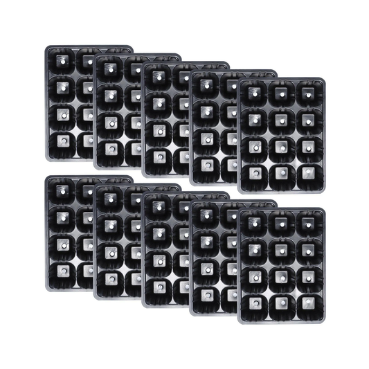 Multiple black plastic seedling trays with clear covers on a white background