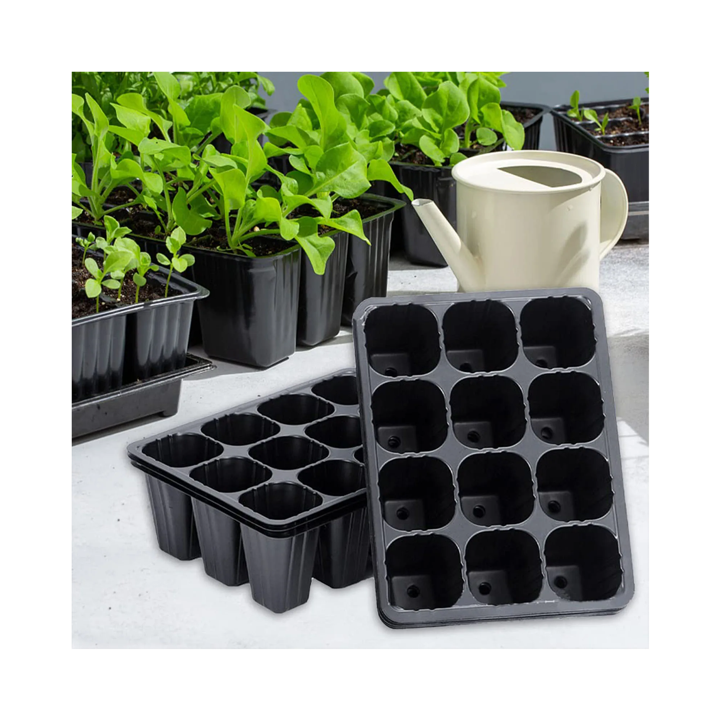 Black plastic seedling trays with small plants and a watering can on a white surface.